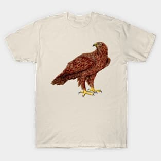 Eagle T-Shirt